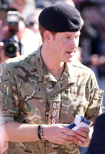 File:Prince Harry (17191365557).jpg