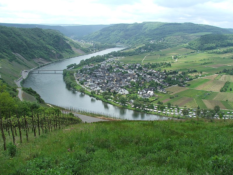 Файл:080110 wolf mosel.JPG