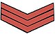 Administration Police Insignia