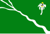 Flag of Belo Jardim