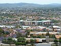 Santiago de Querétaro in Mexico, with Jacaranda trees all over town