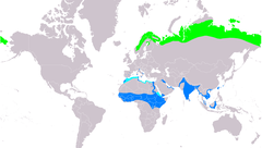 Distribución de Calidris temminckii