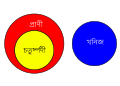 অসমীয়া