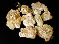 Boswellia Frereana resin, not Boswellia Sacra