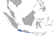 Range of Javan ferret-badger (Melogale orientalis)