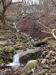 Locust Grove Falls.jpg