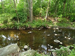 Naamans Creek flowing through woods at Woods Haven Kruse Park