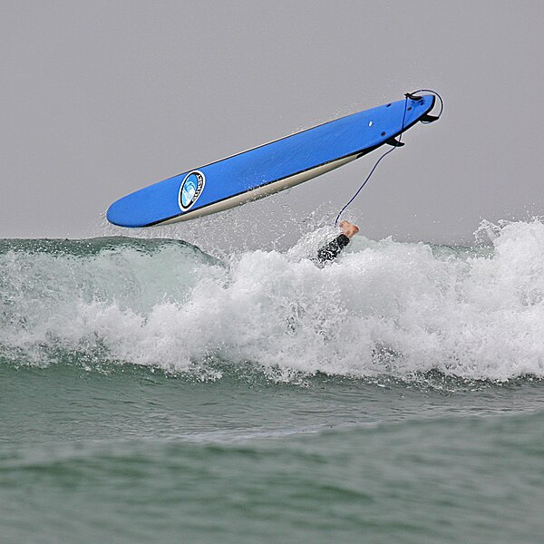 File:Surf board leash.jpg