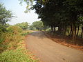 Unpaved back road near Talavdi, Gujarat, India