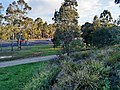 Cumberland Highway as seen from the Brenan Park walking track.