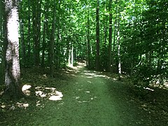 Road in Burke Lake Park in 2014