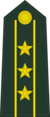 Colonel