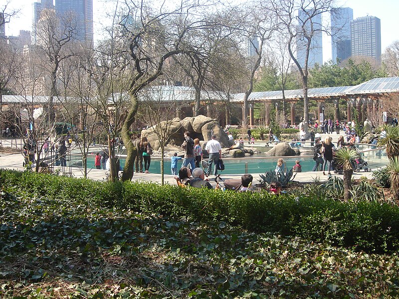 File:Central Park Zoo area.jpg