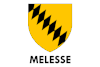 Flag of Melesse