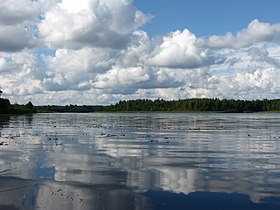 Ктинское озеро, вид из деревни Ктины летом 2013 года.