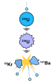 Image 21Induced fission reaction. A neutron is absorbed by a uranium-235 nucleus, turning it briefly into an excited uranium-236 nucleus, with the excitation energy provided by the kinetic energy of the neutron plus the forces that bind the neutron. The uranium-236, in turn, splits into fast-moving lighter elements (fission products) and releases several free neutrons, one or more "prompt gamma rays" (not shown) and a (proportionally) large amount of kinetic energy. (from Nuclear fission)