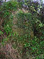 One of a pair of old gateposts on the lane from Drumastle Mill and Linncraigs to the old Lynn House