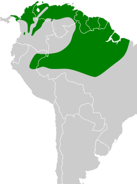 Distribución geográfica del anambé cinéreo.