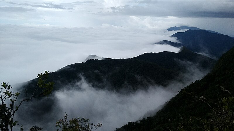 Archivo:Parque Nacional Natural Munchique.jpg