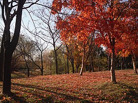 Pyeonghwa (Peace) Park in World Cup Park