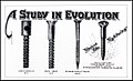 Advertisement: “A Study in Evolution”