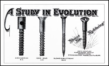 Рекламный буклет: "A Study in Evolution"