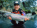 Steelhead with clear spot pattern on fins and body