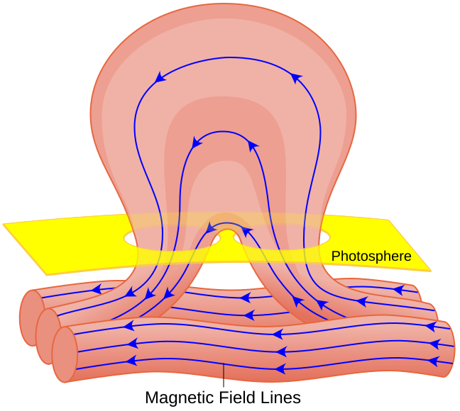 Файл:Sunspot diagram.svg