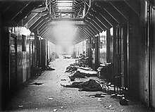 Around eight bodies are laying around hallway after the Vyborg county jail massacre, an example of Red terror. 30 White prisoners were killed by the Reds.