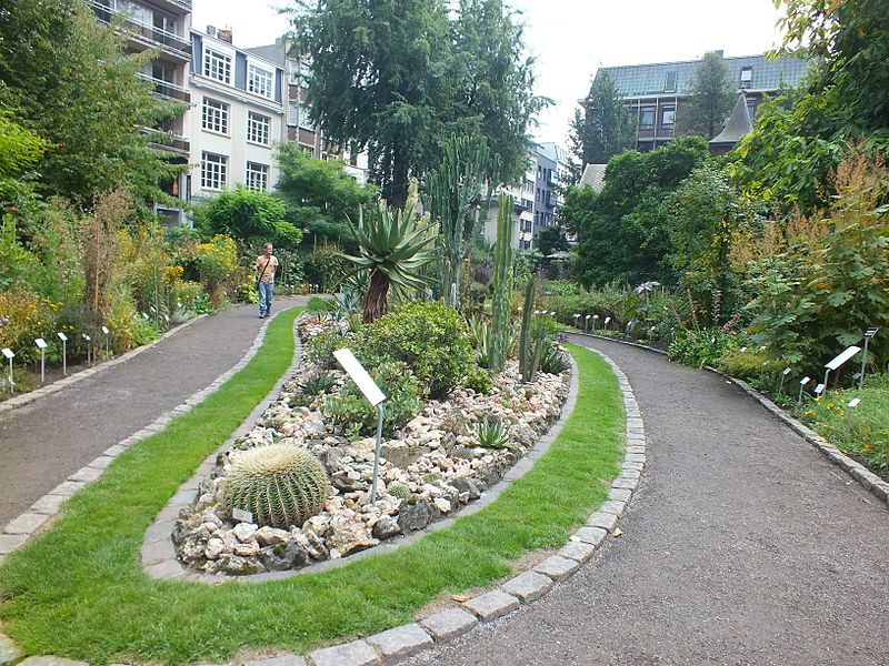 File:Botanical garden.jpg