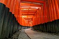 El santuario de Fushimi Inari Torii en Kioto