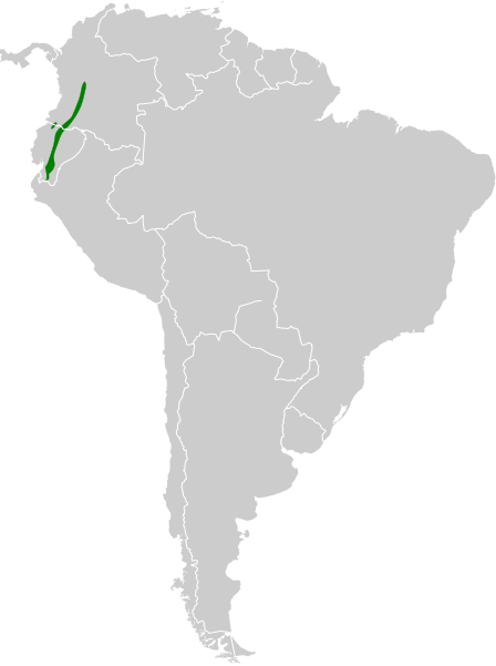 File:Metallura williami map.svg