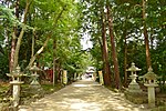 Oiso Forest