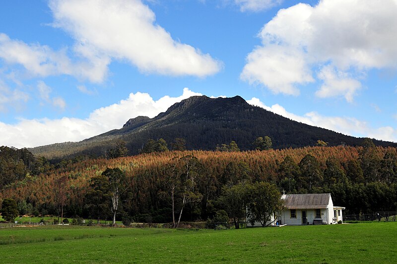 File:Quamby Bluff, tasmania.JPG