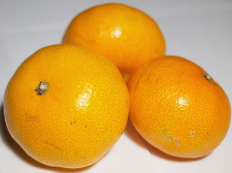 File:Satsuma.jpg