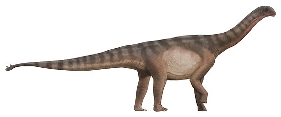 Life restoration