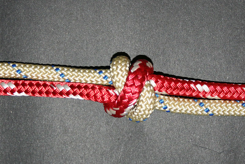 File:True Lover's knot-2.jpg