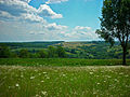 Kholodnyi Yar National Nature Park