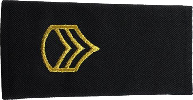 File:Army-U.S.-OR-06.png