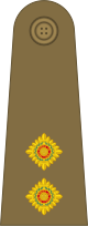 File:British Army (1920–1953) OF-1b.svg