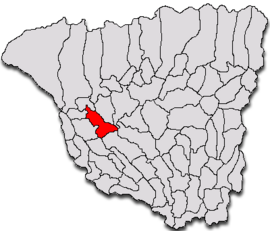 Location in Gorj County