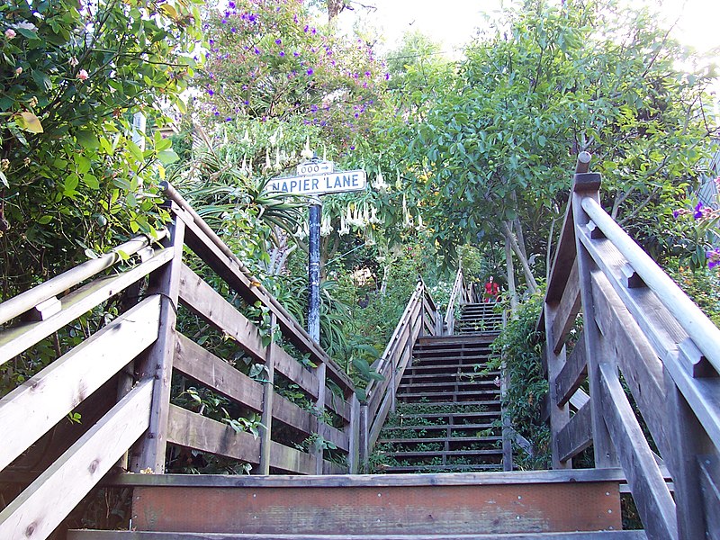 File:Filbert-street-steps-16jul2004.jpg