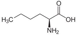 Archivo:L-Norleucin.svg