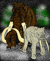 Mammuthus trogontherii & Elephas namadicus