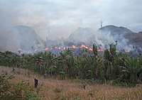 Burning Malagasy rainforest