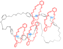 An example of a molecular necklace