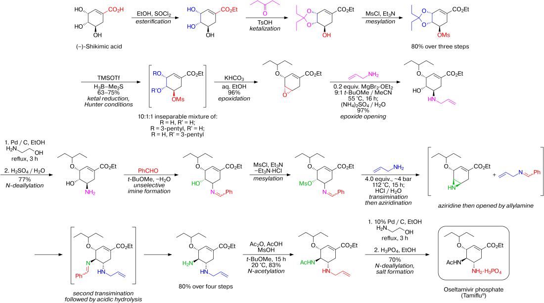 Synthesis of Tamiflu