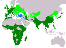 alt=Global range   breeding   resident   non-breeding   vagrant (seasonality uncertain)