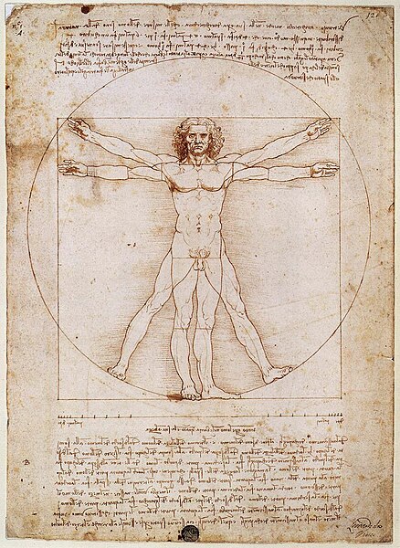 Файл:Vitruvian.jpg