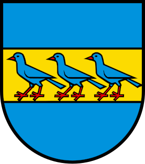 File:CHE Fisibach COA.svg